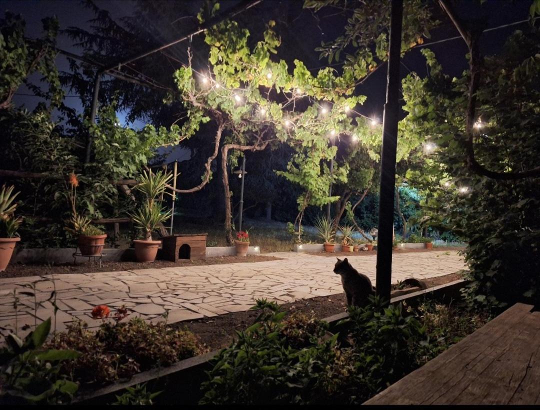 Villa Etna, Salvia E Rosmarino Maletto Exterior foto